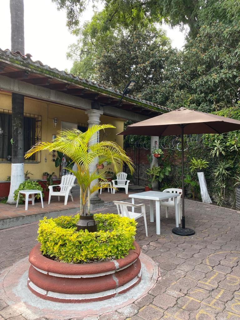 Apartmán Quinta Angeles Cuernavaca Exteriér fotografie